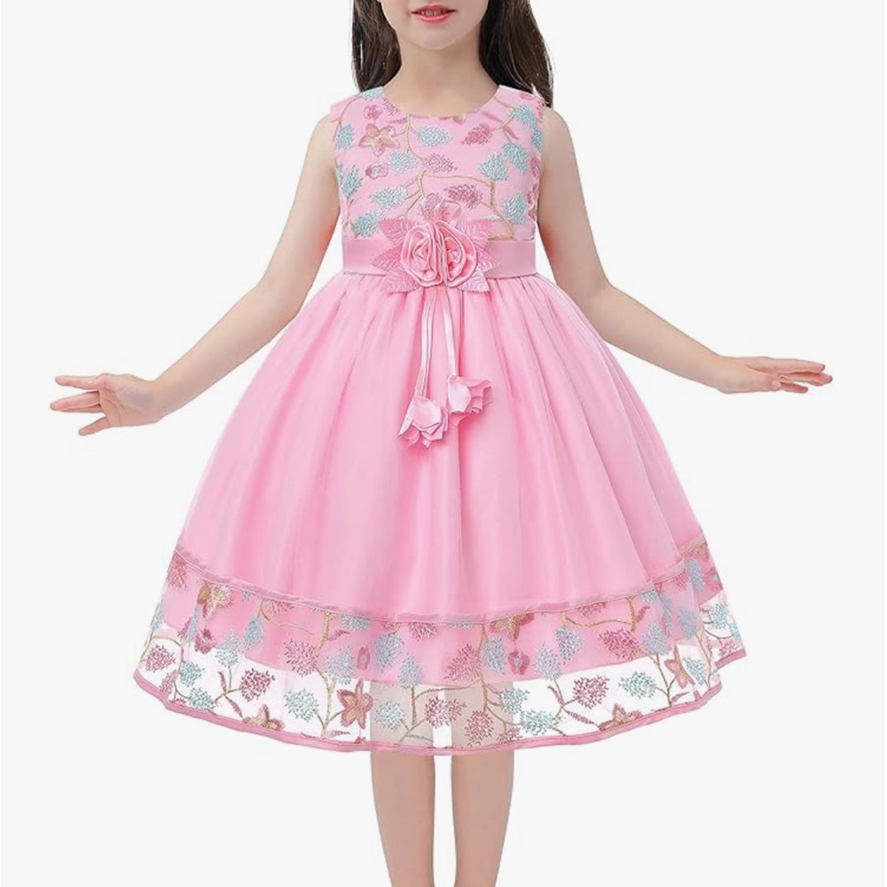 NWT-Pink Floral Embroidered Dress